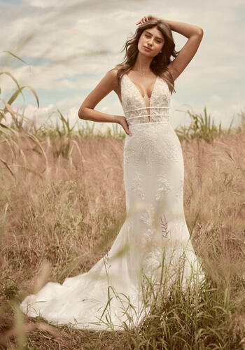 Aready Sanpped UpAngie