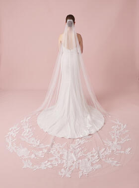 Jackson Veil