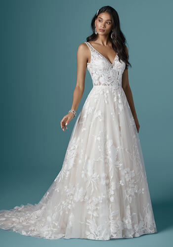 Already Snapped UpSasha