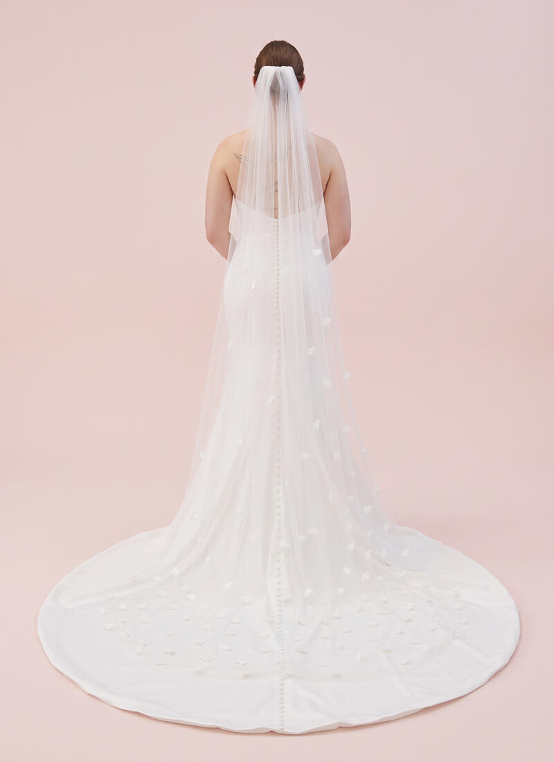 Lisette Veil