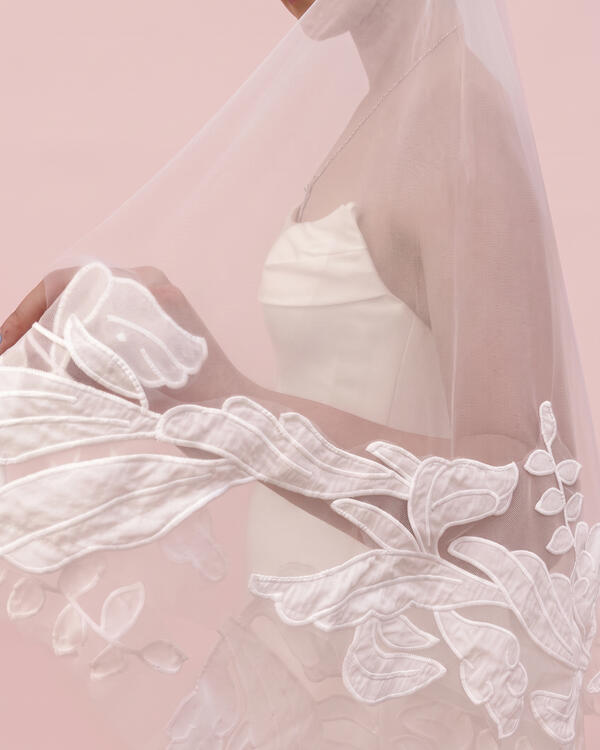 V316 Veil (Mira)