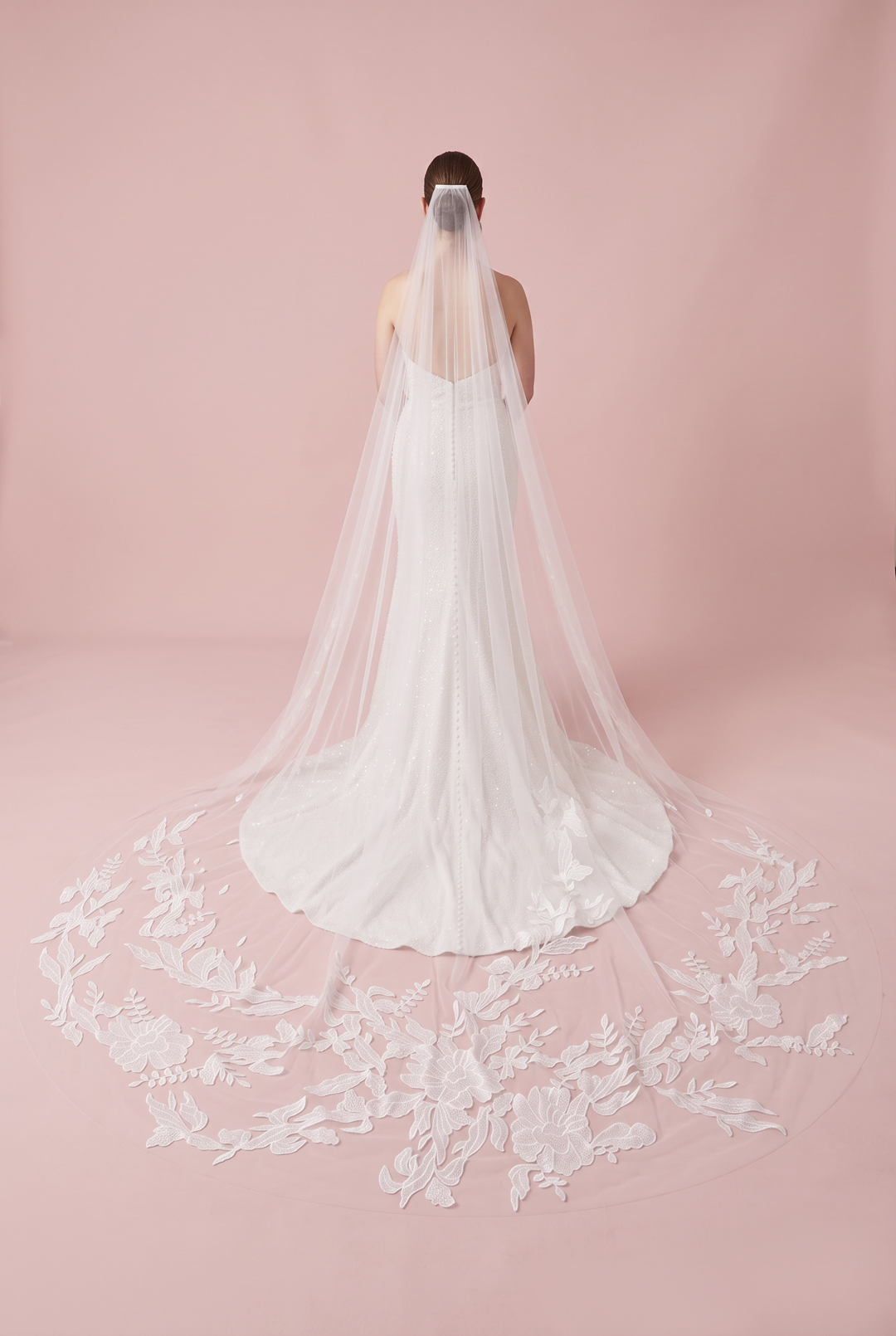 Jackson Veil